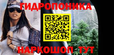 apvp Моздок